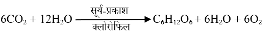 prakash sanshleshan class 10 in hindi